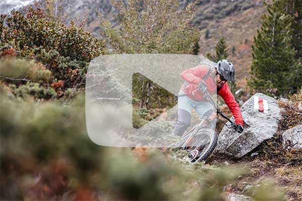 videodatenbank