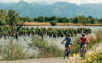 Position Velosuisse: E-Bike – aktive Mobilität als Erfolgsfaktor sichern